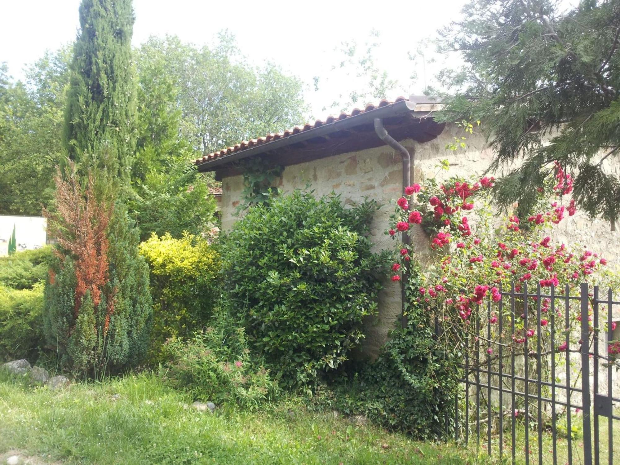 Villa Fattoria Il Praticino - Metato à Castelfranco di Sopra Extérieur photo